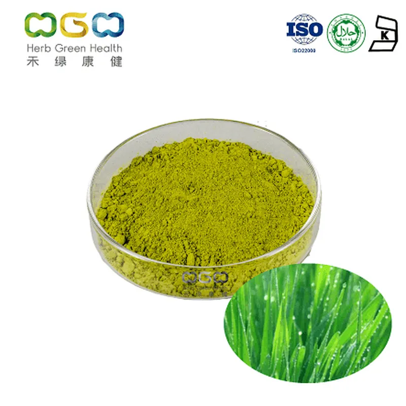 Barley Grass Powder