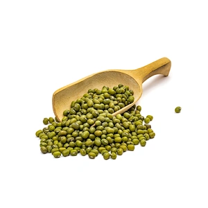 Mung Bean Protein