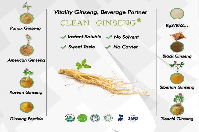 Ginseng Extract