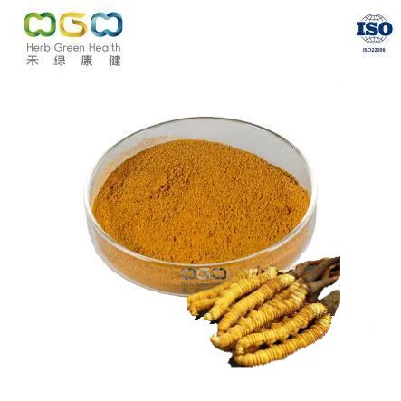 Cordyceps Mycelium Powder