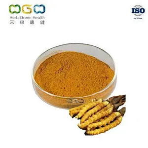 Cordyceps Mycelium Powder