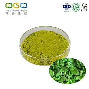 Mulberry Leaf Powder