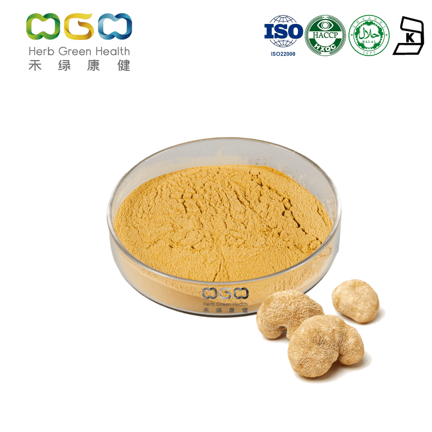 Lion's mane extract 10% Beta-glucan