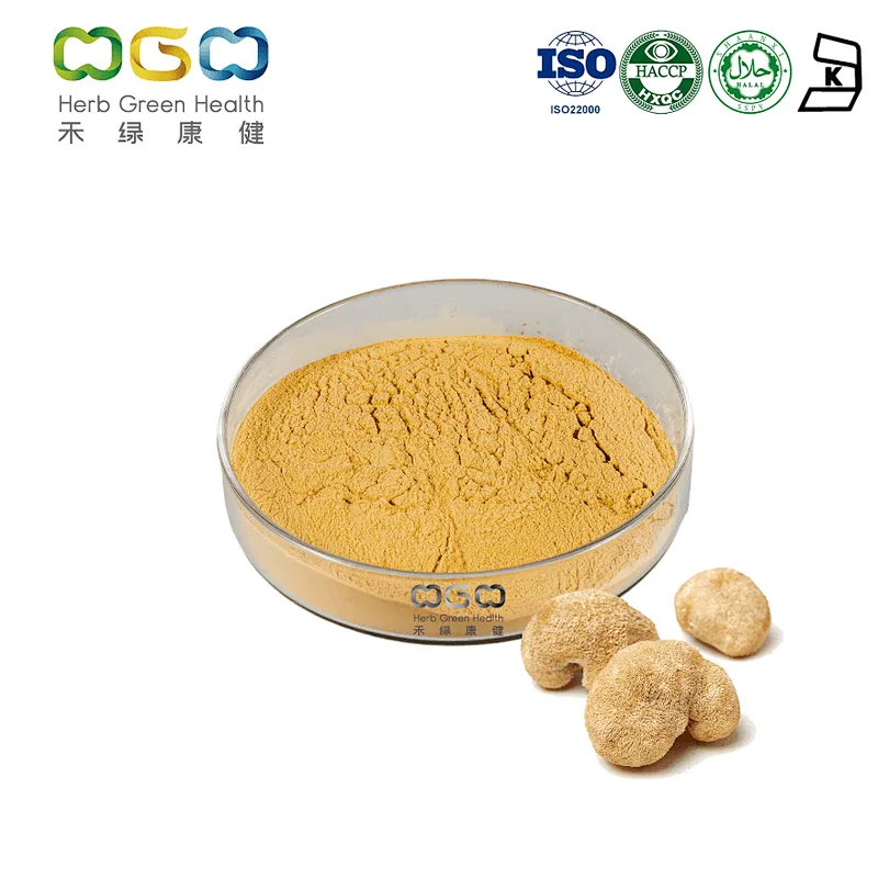 Lion's mane extract 10% Beta-glucan