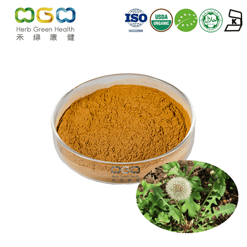 Organic Mongolian Dandelion Herb Extract