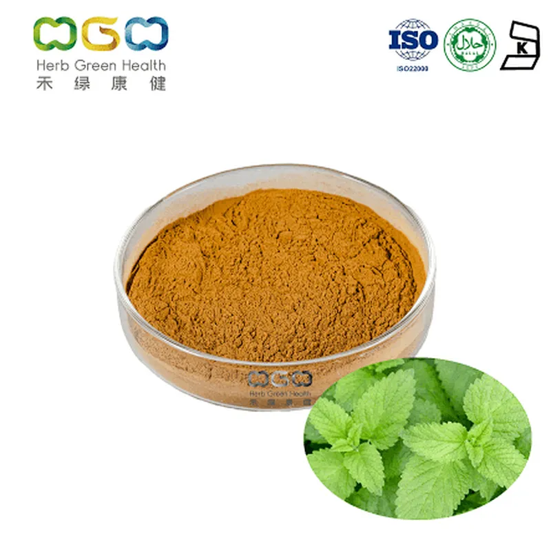 European Nettle Extract