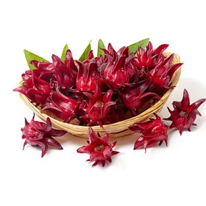 Hibiscus Sabdariffa Extract