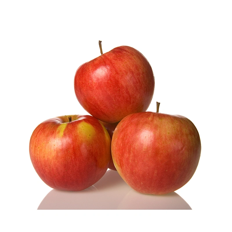 Organic Fermented Apple Cider Vinegar