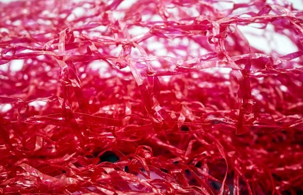What is Haematococcus pluvialis good for