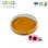 Echinacea Extract