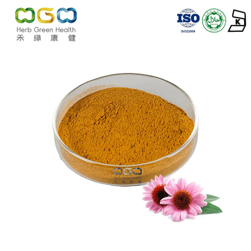 Echinacea Extract