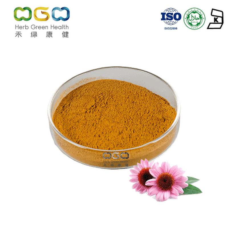 Echinacea Extract