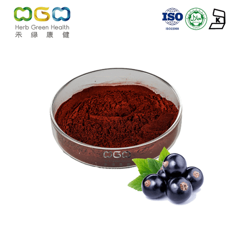 Black Currant SD Powder