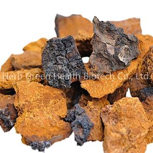 Organic Chaga Mushroom Extract