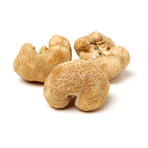 Organic Lion's Mane Mushroom Extract