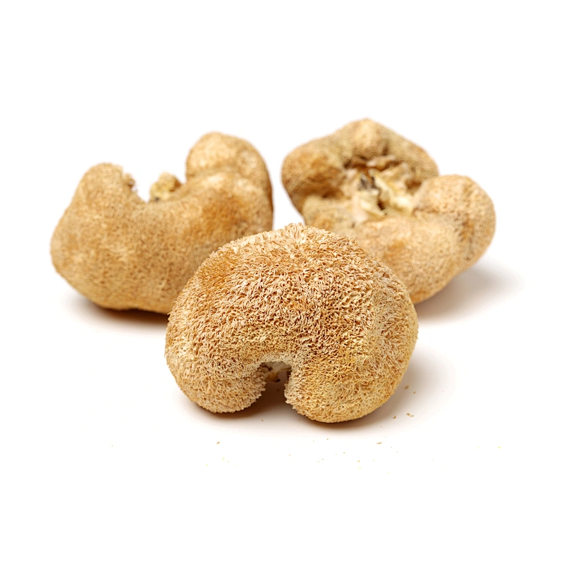 Organic Lion's Mane Mushroom Extract