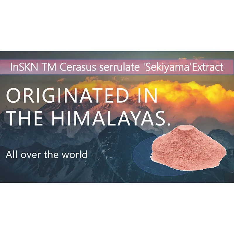 InSKN™ Sakura Extract