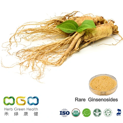 Ginseng Extract Rare Ginsenosides