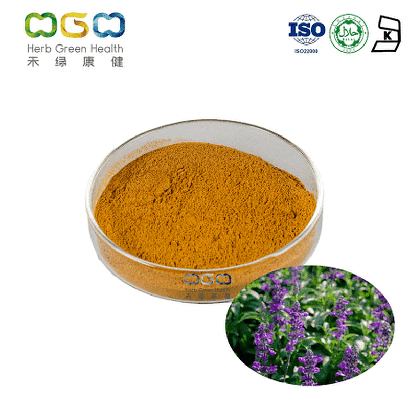 Coleus Forskohlii Extract