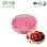 Sour Cherry SD Powder