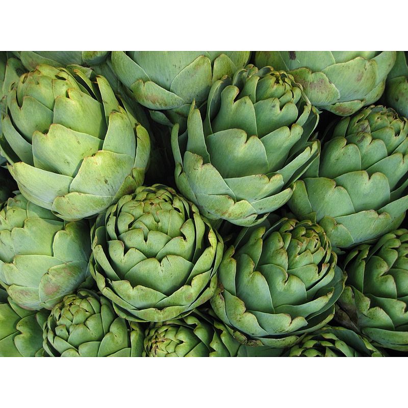 Artichoke Powder
