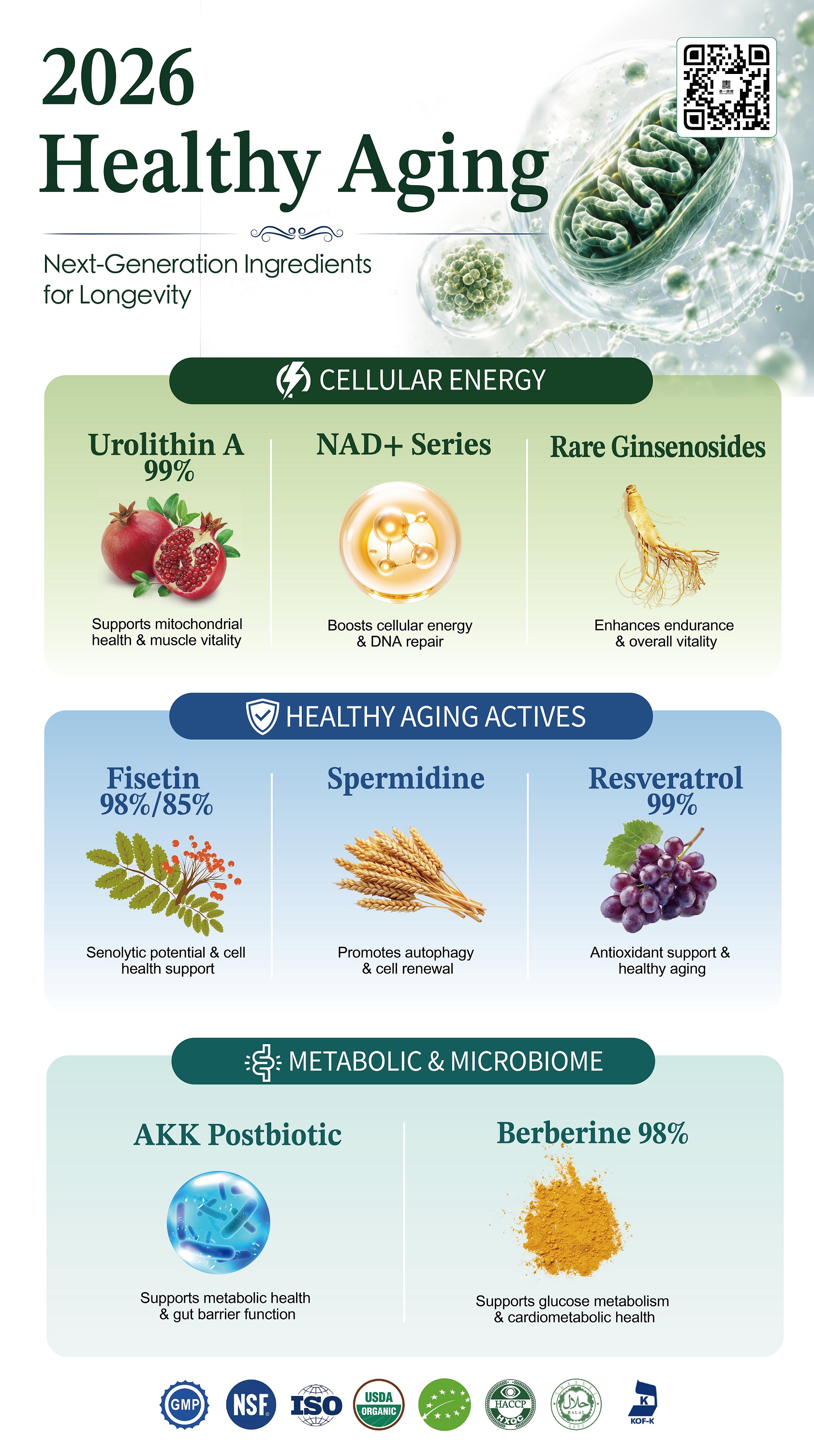 Healthy Aging Ingredients: NAD+, Resveratrol, Berberine, Akk Postbiotic
