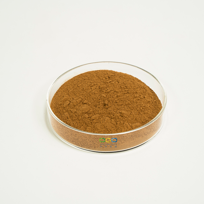 Turkey Tail Mushroom Extract