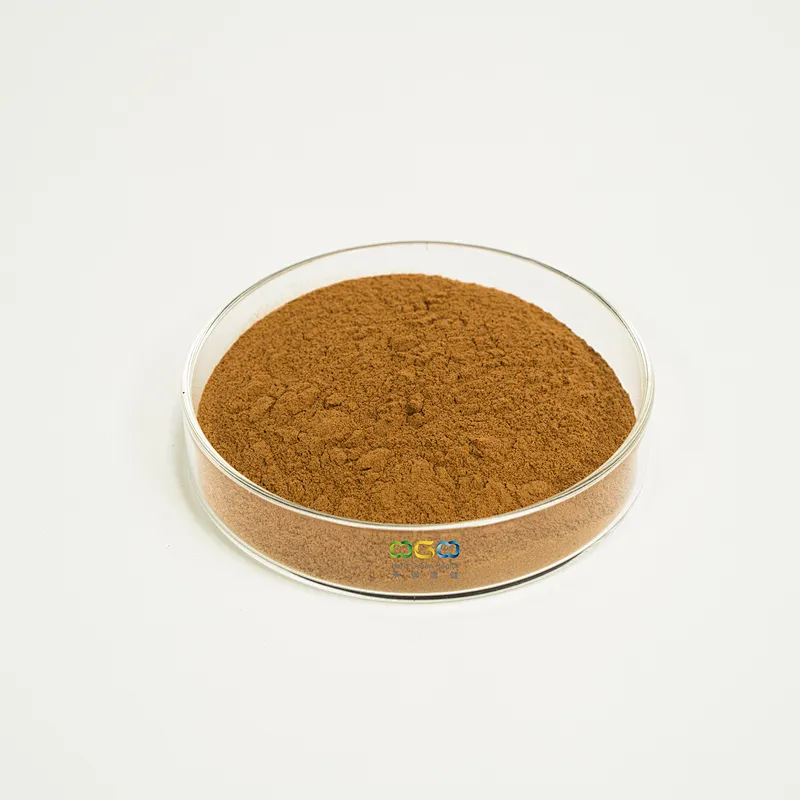 Turkey Tail Mushroom Extract