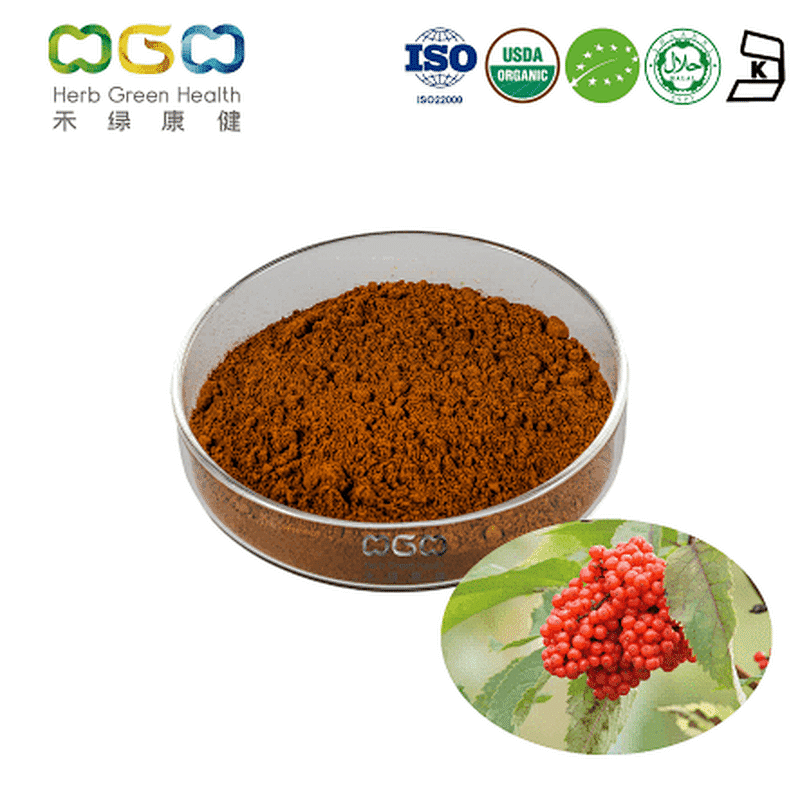 Organic Schisandra Berry Powder