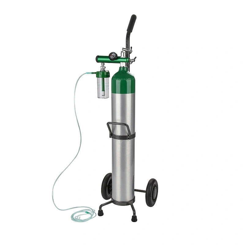 Medical Service Single Oxygen Bottle Cart Made by Stainless Steel