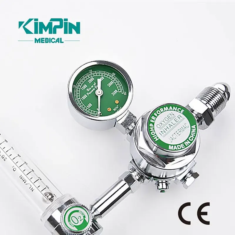Professional Manufacturer Hospital Home Use Buoy Type Oxygen Inhaler Flowmeter Medical Oxygen Regulator