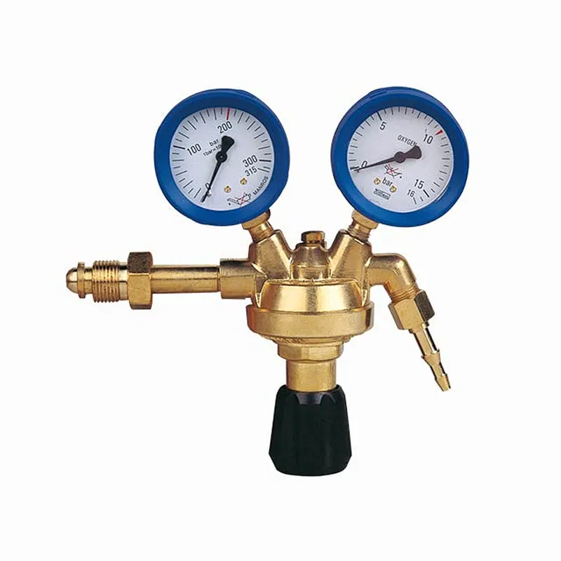 French Type Medium Duty Oxygen Pressure Regulator/Reducer Hot sale In Europe