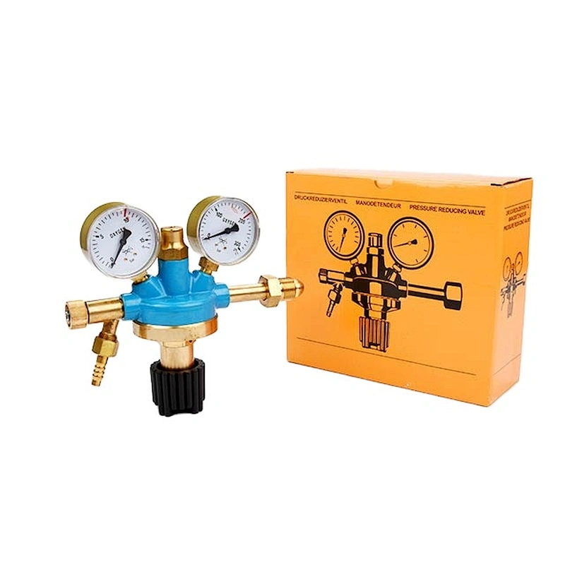 French Type Medium Duty Oxygen Pressure Regulator/Reducer Hot sale In Europe