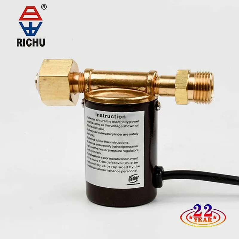 RICHU Professional manufacture co2 gas regulator with heat