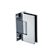 brass shower hinge