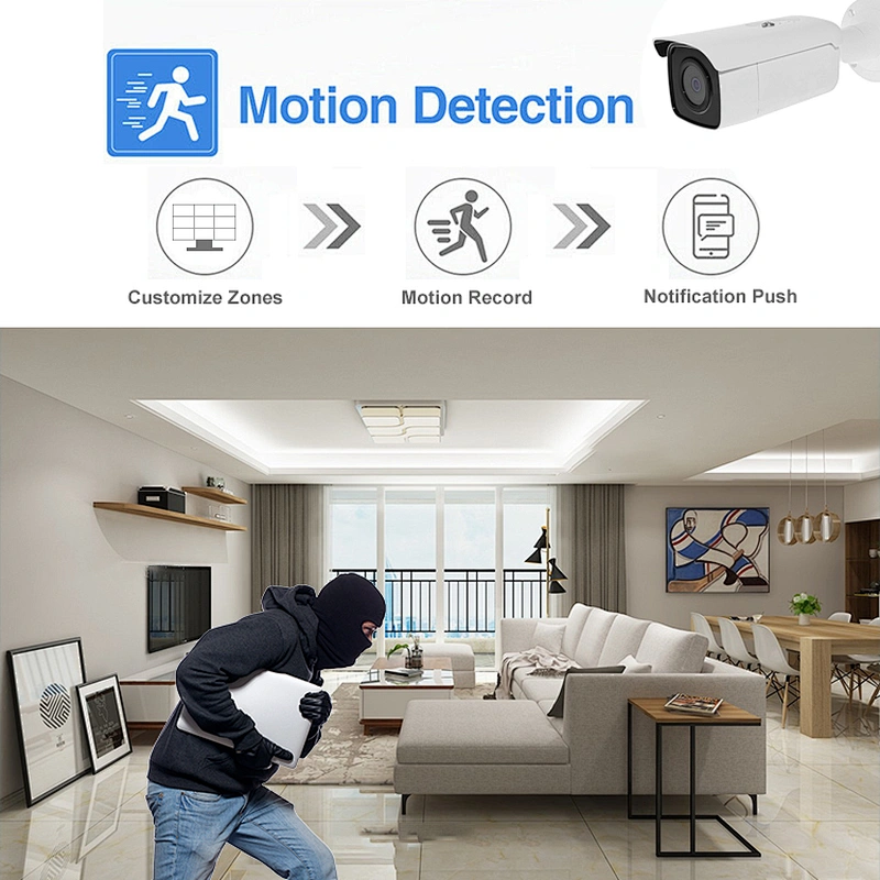 Hitosion oem HS-2CD2T86G2-2I/4I intelligent security ip camera professional manufacturer