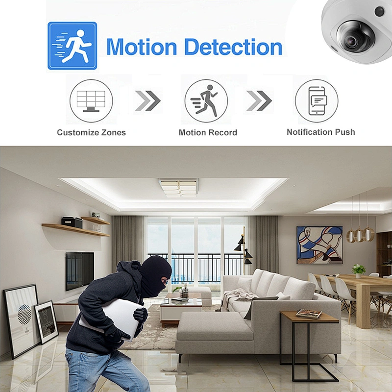 Hitosion HS-2CD2526G2-I(S) 2 MP Built-in Mic Fixed Mini Dome Network secyriry Camera House Ip Securaty Camras