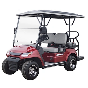 4 Passenger Golf Buggie
