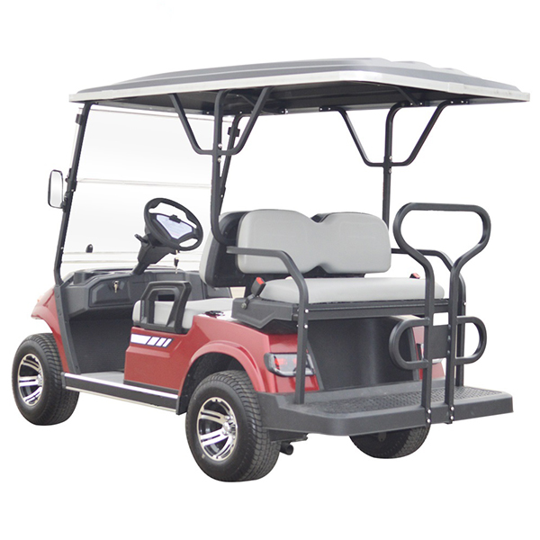4 Passenger Golf Buggie