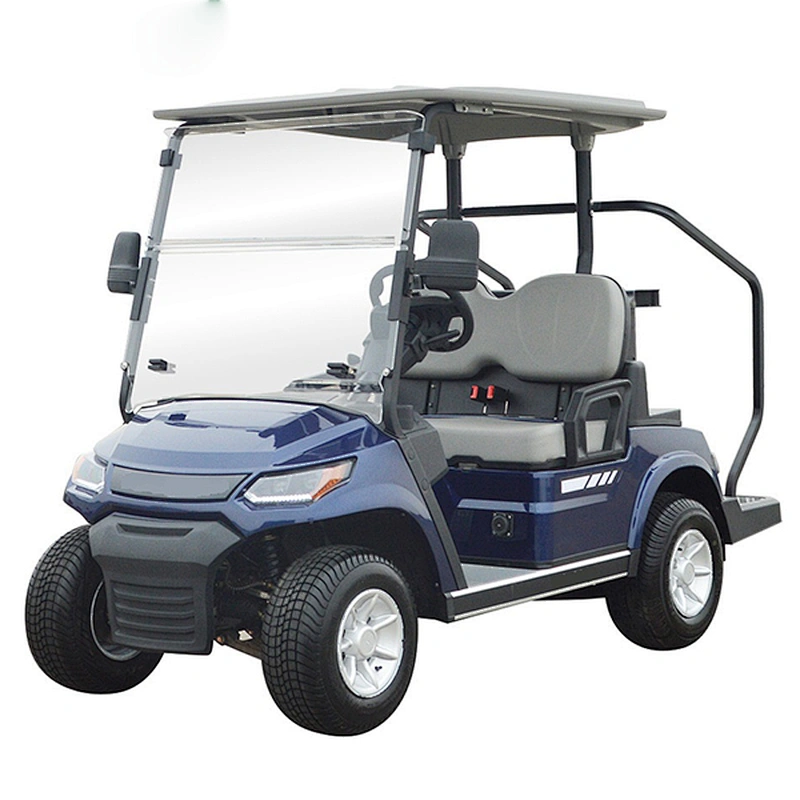 2 Passenger Golf Buggie