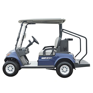 2 Passenger Golf Buggie