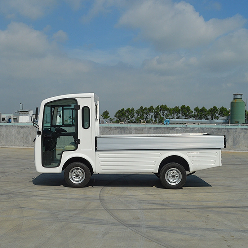 2 Passenger Truck