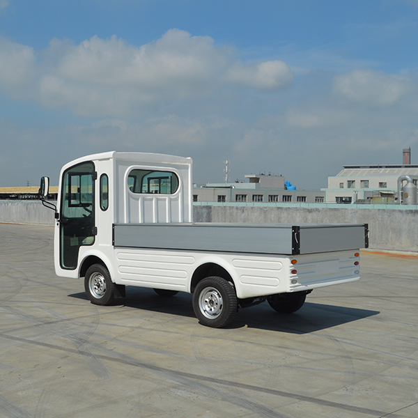 2 Passenger Truck