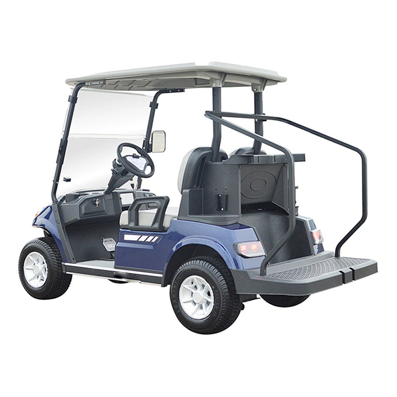 2 Passenger Golf Buggie