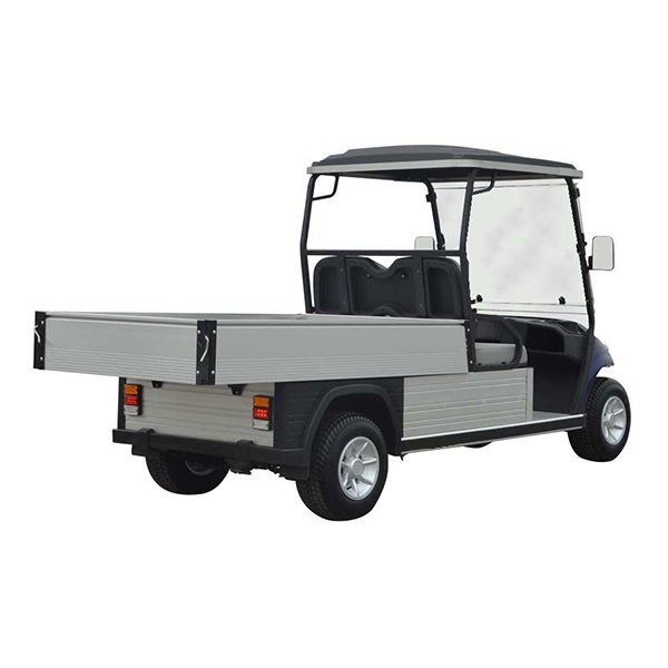 2 Passenger Golf  Utility Box