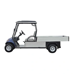 2 Passenger Golf  Utility Box