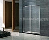 Industrial Style Mirror Light Frame Stainless Steel Sliding Shower Doors