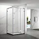 Pivot Shower Door