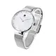 Luxury watch