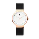 Luxury watch